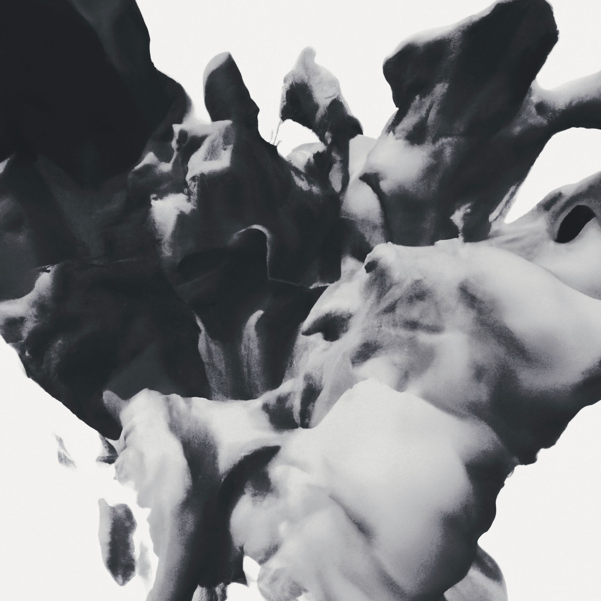 Bloom print