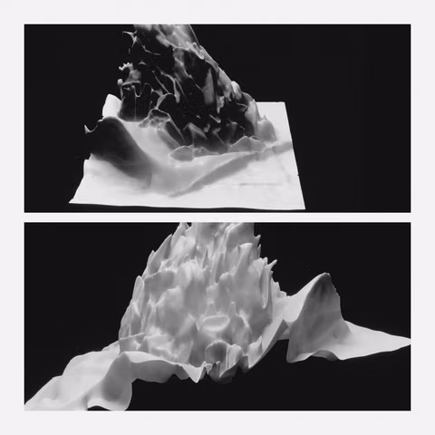Sunflower sutra